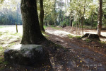 markesteen